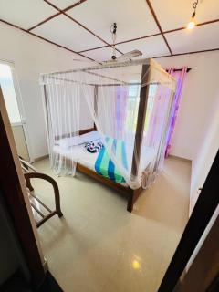 Sandy Coconut Guest - 1