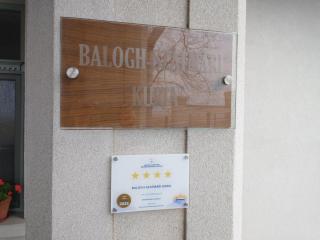 Balogh-Szatmári Kúria - 2