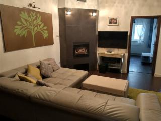 Balogh-Szatmári Kúria - 1