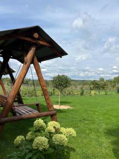 Colt de Apuseni Guesthouse - 3