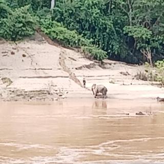 Villa Mekong Guesthouse - 5