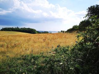 7 person holiday home in Knebel-By Traum - 8