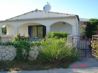 Apartment with terrace - 0