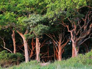 Luxury Pool Villa in Lohals - By Traum Ferienwohnungen - 7