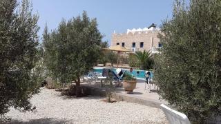 Villa Dar Albatros Great for groups surf, yoga, friends and family - 8