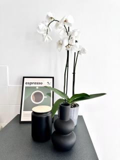 Wonderful apartment in Sablon - 1