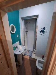 Double Ensuite in a colourful quirky terrace on a quiet leafy street - 2