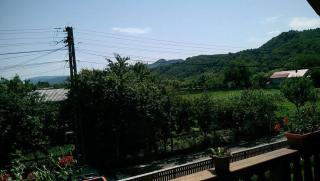 Pensiunea Rares - Bistriţa Bîrgăului - 1