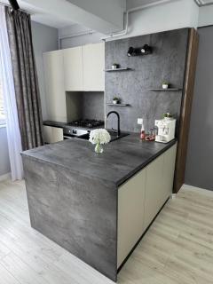 Apartament modern 2 camere, Parcul Zăvoi - 7