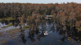 Luxurious Boating Estate with 12 BR Sleeps 15-50 - 9