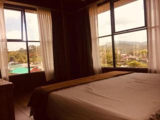 Dolphin Residency - 1