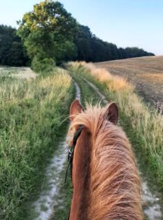 Mini-lejlighed med køkken - deler bad og toilet med nabolejlighed 2 - 4