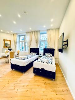 Lovely 3BR Apartment Near Atzgersdorf Park, 11Min Walk - 8