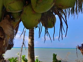 Mara'ai le spot Tubuai, Chambre Triple Deluxe Mahu SDB Privée avec piscine - 0