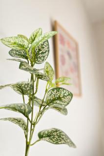 Blue Beach La Ciotat - 3