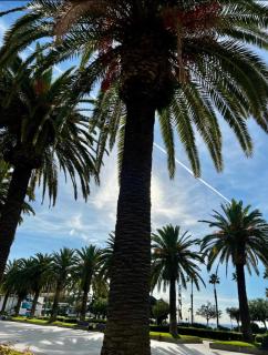Apartman Leoni 1 linea - 8