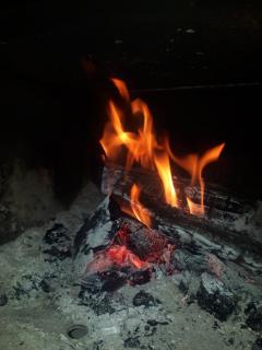 Refugio Holístico Flora Boreal - 3