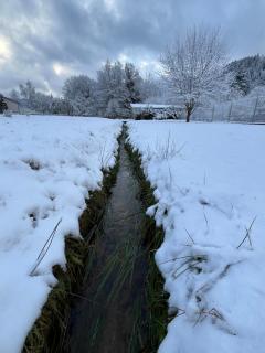 RD Vosges - 2