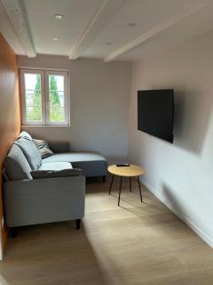 Newly renovated 2 bedroom apartment - 7