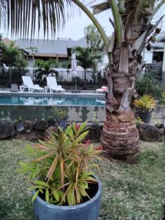 Villa la Canne Mapou No10 2chambres - 1