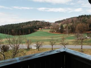 Im Bayerischen Wald - 8