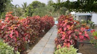 Sky Vibes The Village Resort - 9