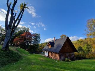 Chalupa pod strání - Olešnice v Orlických horách - 5