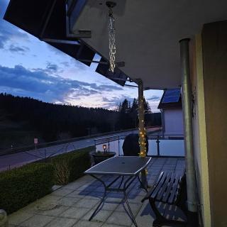 Eichhörnchen-Haus Körner im Schwarzwald - 9