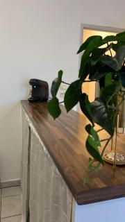 Charming apartment with terrace and parking in Carcassonne - 4