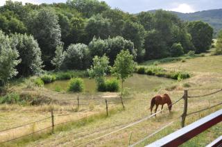 La Bergerie - Pollionnay - 0