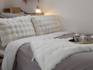 Le passage secret - 4