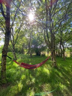 Charmante longère percheronne avec cheminée, jacuzzi et verger - 4