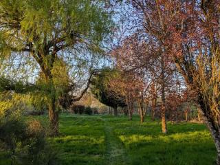 Charmante longère percheronne avec cheminée, jacuzzi et verger - 3