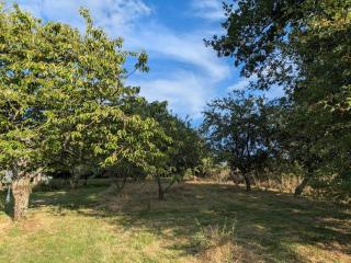 Charmante longère percheronne avec cheminée, jacuzzi et verger - 2