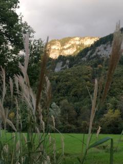 Business Apartments - 9