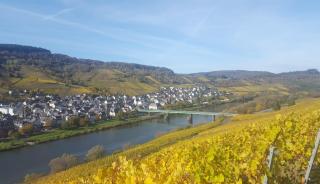 Casa Moselle-Royal Stilvoll Urlauben an der Mosel - 8