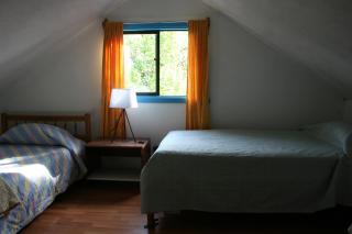 Pucón Forest Wellness - 8