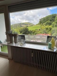 Hirschblick Apartments Bontkirchen - 4