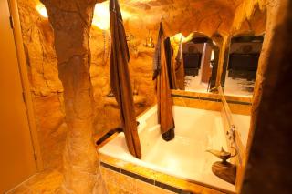 Black Swan Inn Luxurious Theme Rooms - 5