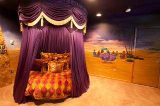 Black Swan Inn Luxurious Theme Rooms - 4