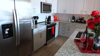 Red Rose Serenity 1BD Lux King - Southeast Jax - 9