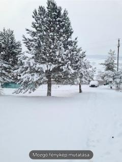 Lucky Rönk vendégház - 7