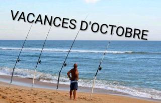 Les Pieds Dans L'eau Accés direct à la plage - 0