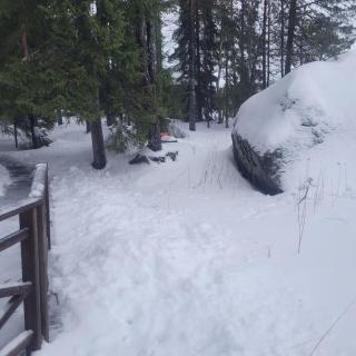 Quiet Lakeside Forest Escape - 3