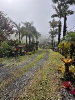 Cabaña las Bromelia - 6