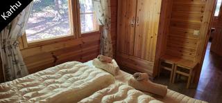 Quiet Lakeside Forest Escape - 1