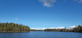 Quiet Lakeside Forest Escape - 7