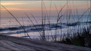 2Bed 2Bath Pondview Haven - BC138 - 8