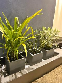 Crescent Bay Weligama - 1