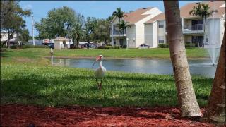 Beachside Pond View Retreat - BC155 - 7